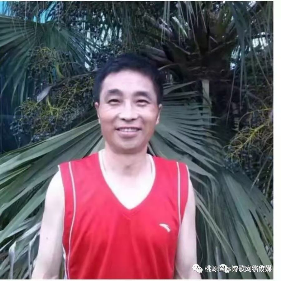 《在我心里》作者:戴玉珍【主播:知语】【桃源国际诗歌集团】用声音传递温暖以诵读致敬人生♬（图8）