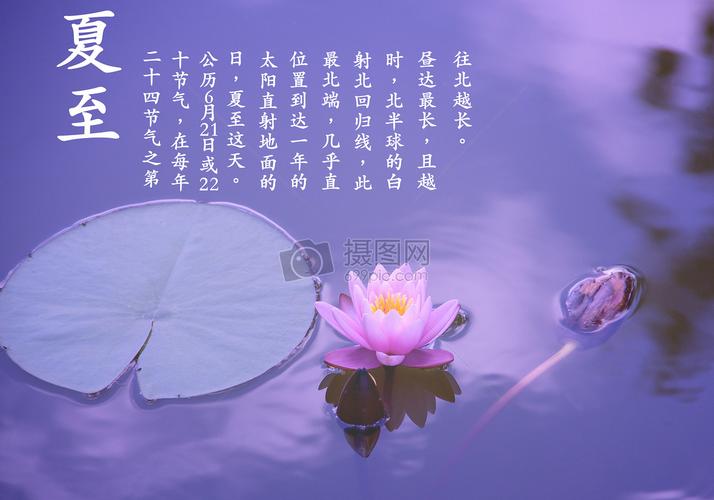 《夏至》作者:易生诗梦【主播:知语】【桃源国际诗歌集团】用声音传递温暖以诵读致敬人生♬（图7）