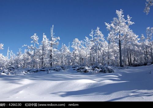 《虔诚的祈祷》作者:雪原【主播:雪如玉】【桃源国际诗歌集团】用声音传递温暖以诵读致敬人生♬（图7）