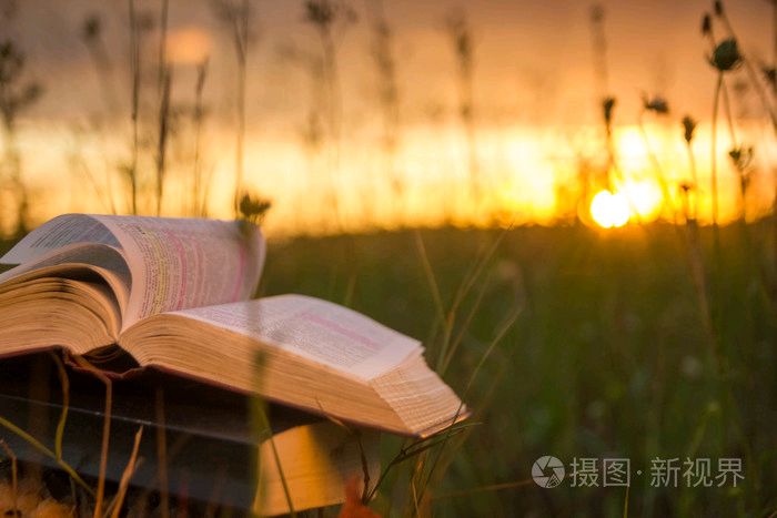 诗歌小辑 作者 张维清〔湖北〕【冰心文化传媒】主编 冰心（图3）
