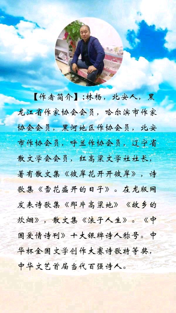 中华诗艺黑龙江分社微刊第132期(图15)