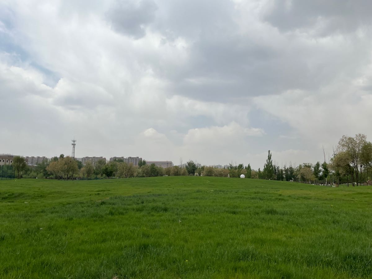 《草原之恋》文：德（美国）摄影：老男孩【追梦者总社】世界诗人名人展（10280）（图7）