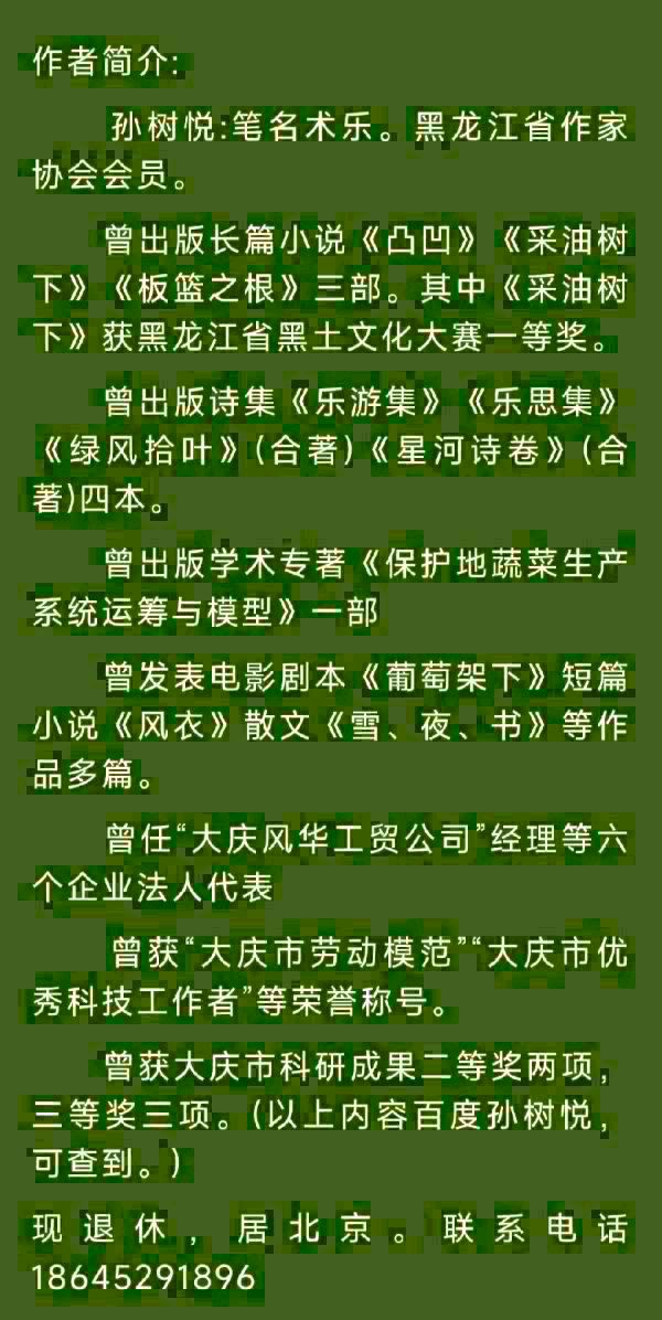 中华诗艺黑龙江分社微刊第132期(图46)