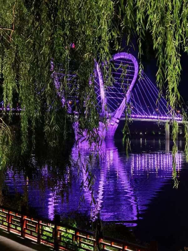 《沈水湾公园美景》文：陶丹【北欧总社】世界诗人名人展（10282）（图4）