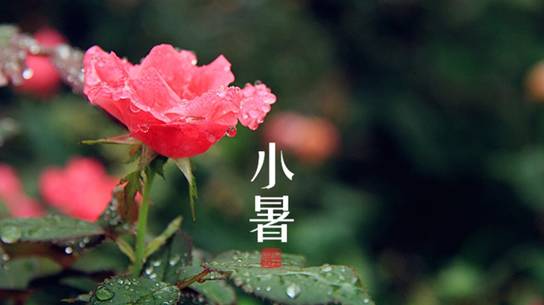 小暑两首(图9)