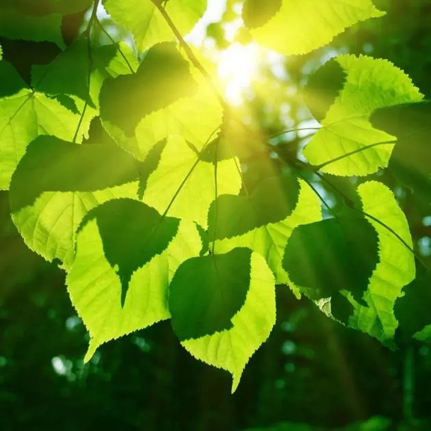 【原创首发】《生活，简单一点点，做人，糊涂一点》外二首作者：孟义（图6）