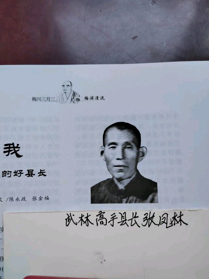 张盖凡：《乞丐县长张凤林》（图2）