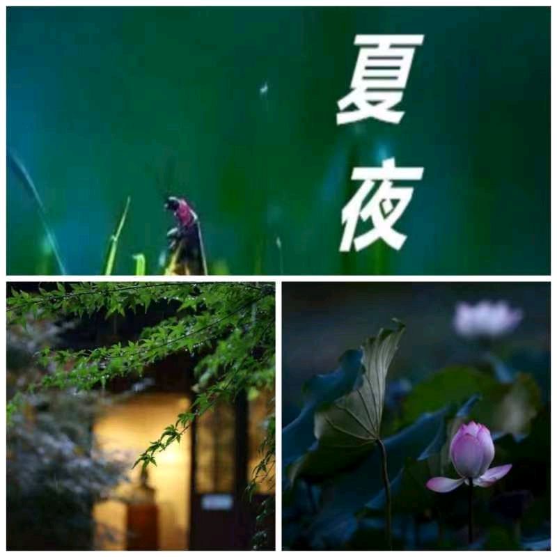 韩庚的《夏夜》