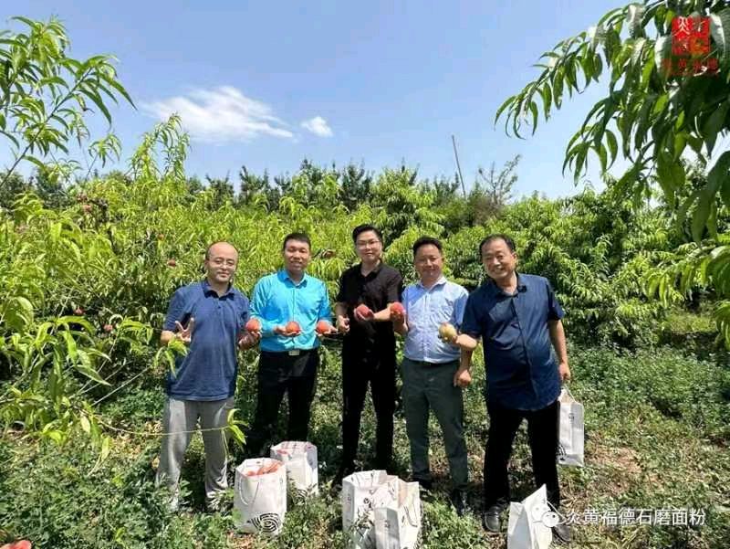 联机全球发布刘晓平作词鹿鸣朗诵的精品诗歌《来自美丽乡村的“香麦原”》（图6）