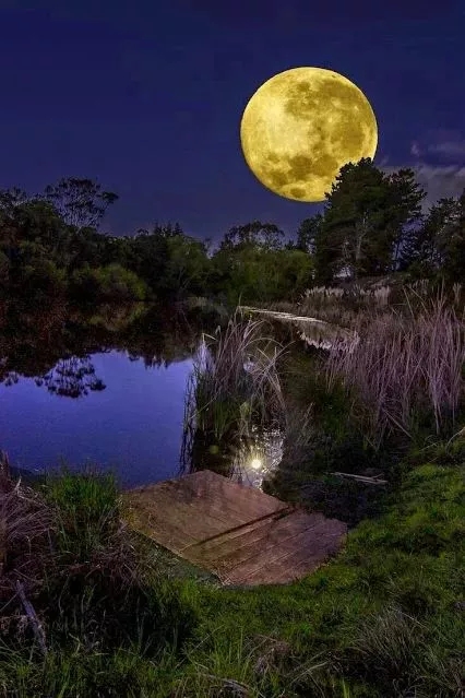 国风上海社第四十期诗刊—上海头条（图33）