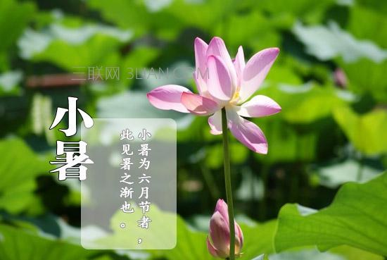 【神州源流诗苑】第988期优秀近体诗《都市头条》周刊(图9)
