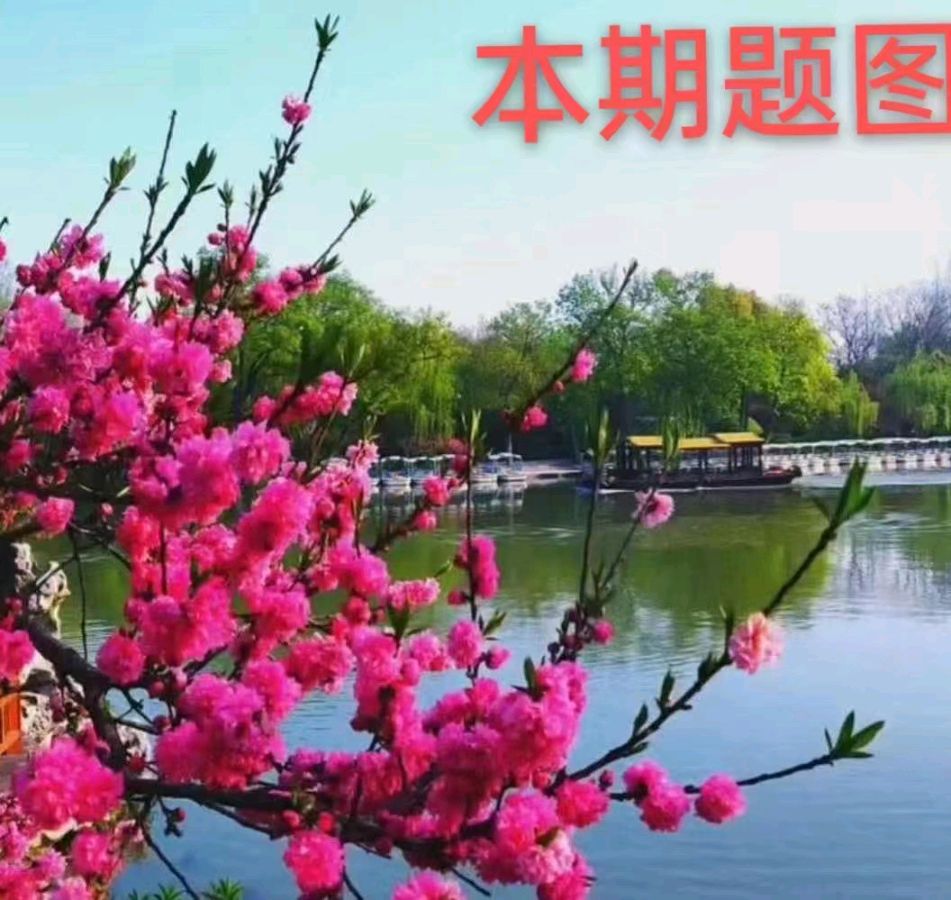 中华诗艺黑龙江分社微刊第136期（图22）