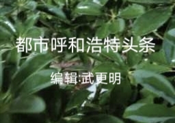 〔黄钟·人月圆〕两阙