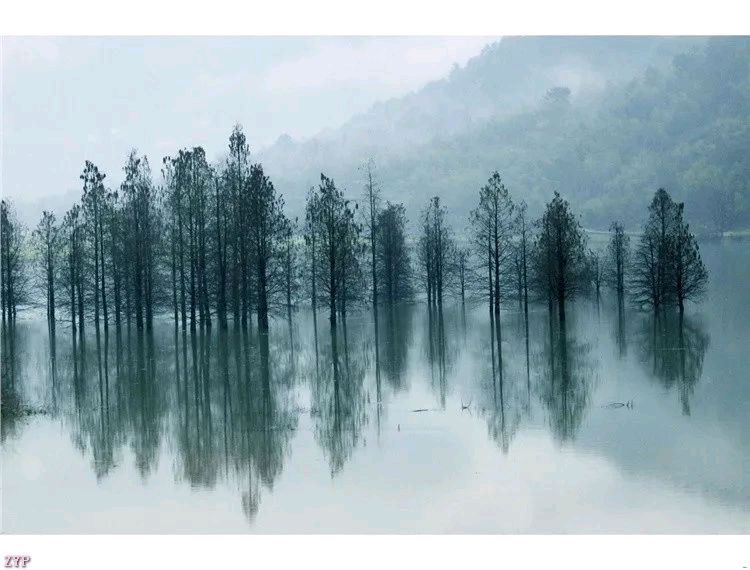 《土路风情》作者沉浮天地/主播茵茵 编辑/海纳百川【中国长江文学社】有声文学平台 第6018期（图3）