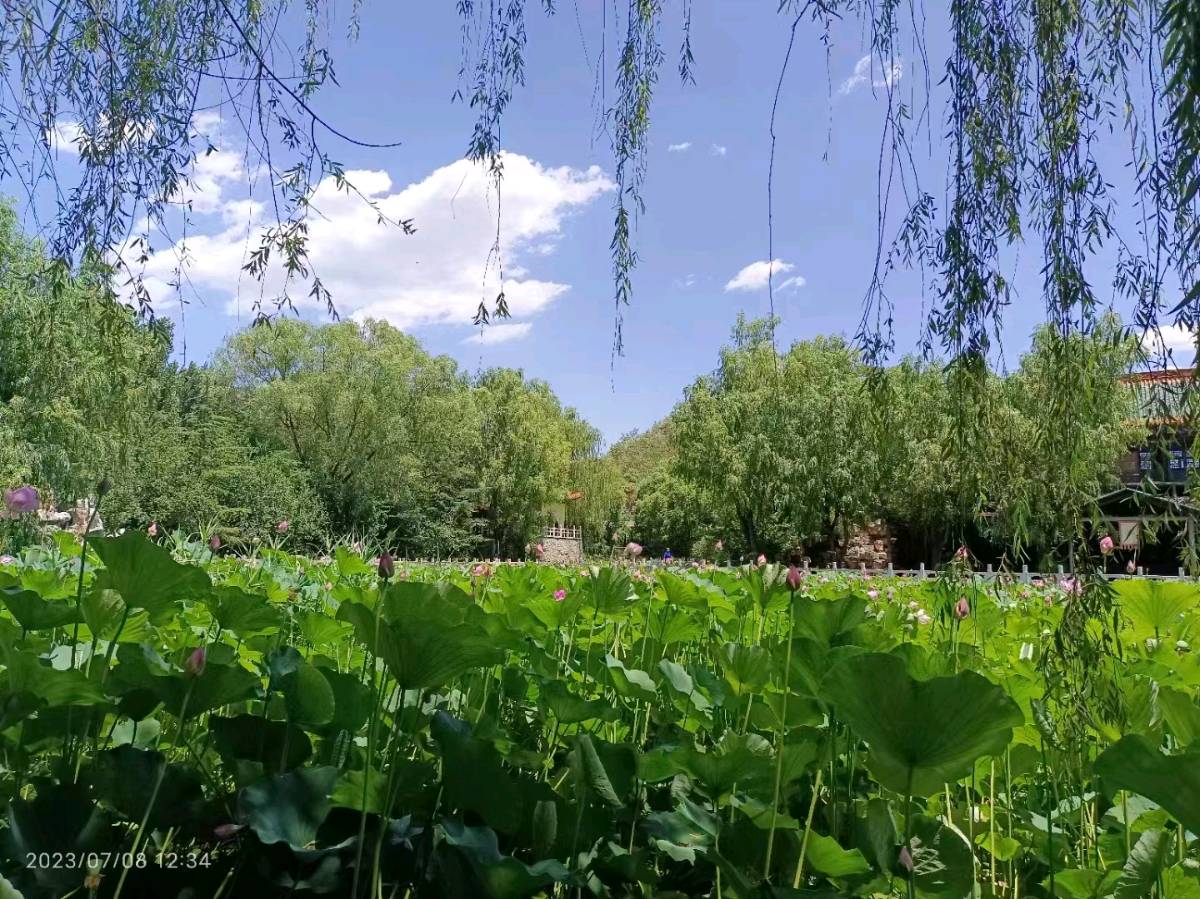 盛夏 | 文/许保全（图3）