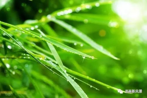 暴雨——作者:水云居士——【世界汉诗】征稿——都市头条（图4）