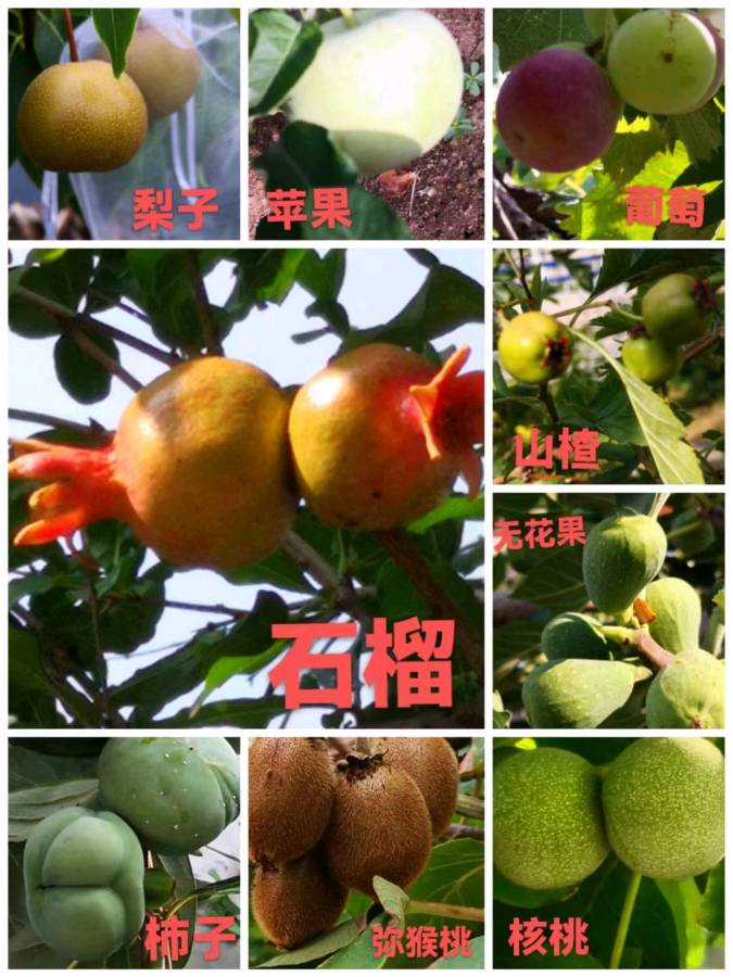 《世界名家》《九江文学社：北京头条》著名艺术家沈志昂先生近期箴言及精美书法集萃欣赏【总第1709期】（图33）