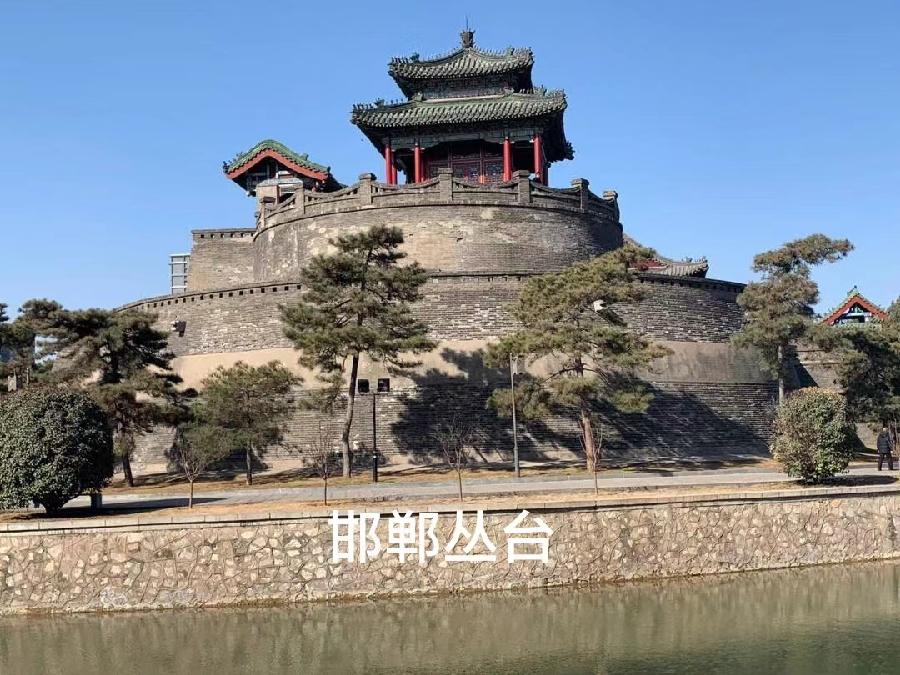 【新诗大观】杨改新诗四首||诵/文嘉
