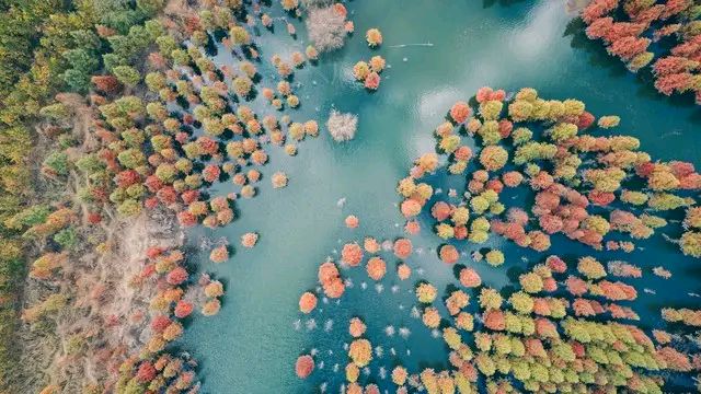 人生若只如初见,喜乐安康每一天。(图2)