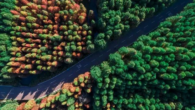 人生若只如初见,喜乐安康每一天。(图3)