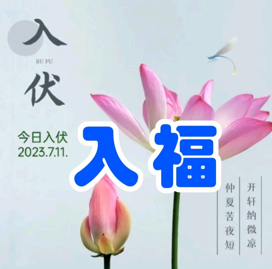 中华诗艺黑龙江分社微刊第139期(图6)
