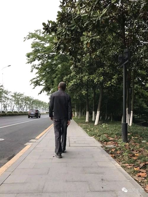 《背影》作者:浪迹天（湖南）主播:主播:知语【桃源国际诗歌集团】用声音传递温暖以诵读致敬人生♬（图6）