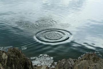 《风和雨水》作者:雪原（吉林）主播:马艺军【桃源国际诗歌集团】用声音传递温暖以诵读致敬人♬（图6）