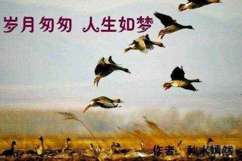 【重磅推出】鲁坡//大道无方不孤单｛诗意人生系列作品展十五首｝（图6）