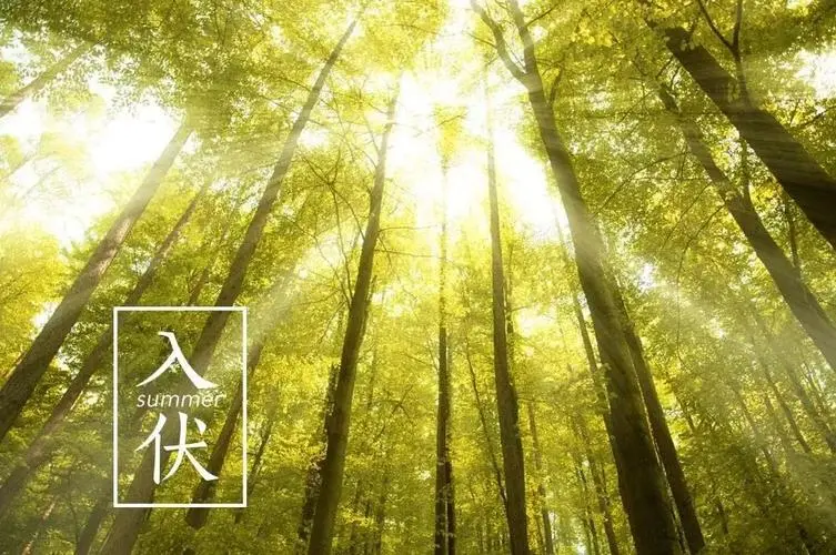 入伏‖巴彦诗协诗词卷【557】(图5)