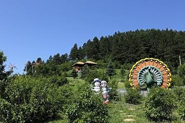 【经典推荐】张建国（一滴清水）//长相思•兴安情思｛外二首｝（图2）