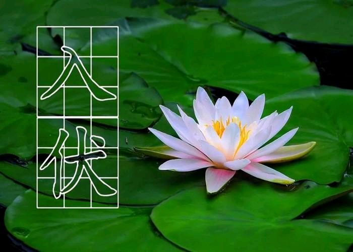 《九江文学社：北京头条》入伏专刊【总第1712期】（图21）