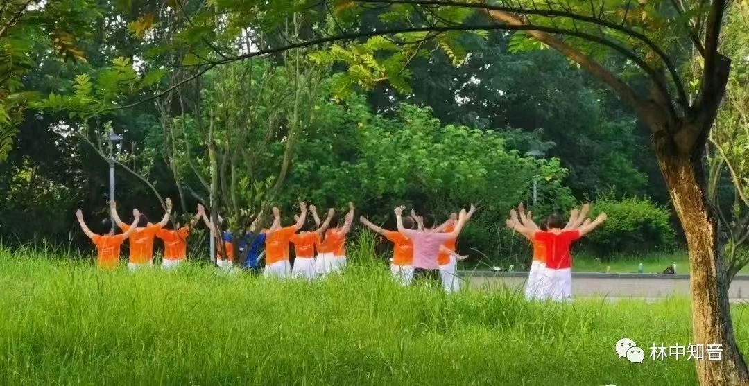作者：张亦民《凤凰台上忆吹箫 信丰花园湾湿地公园夏夜》5297期【新京都文艺】（图4）