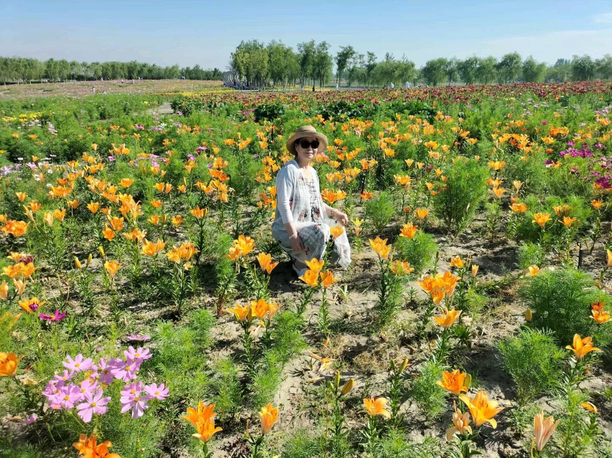中华诗艺黑龙江分社微刊第140期(图10)