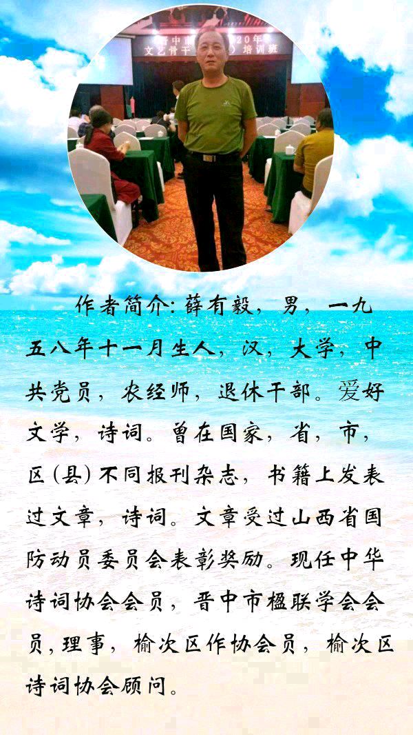 中华诗艺黑龙江分社微刊第140期(图36)