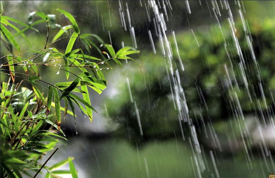 【新诗大观】入伏,第一场雨||文/金义(河北)