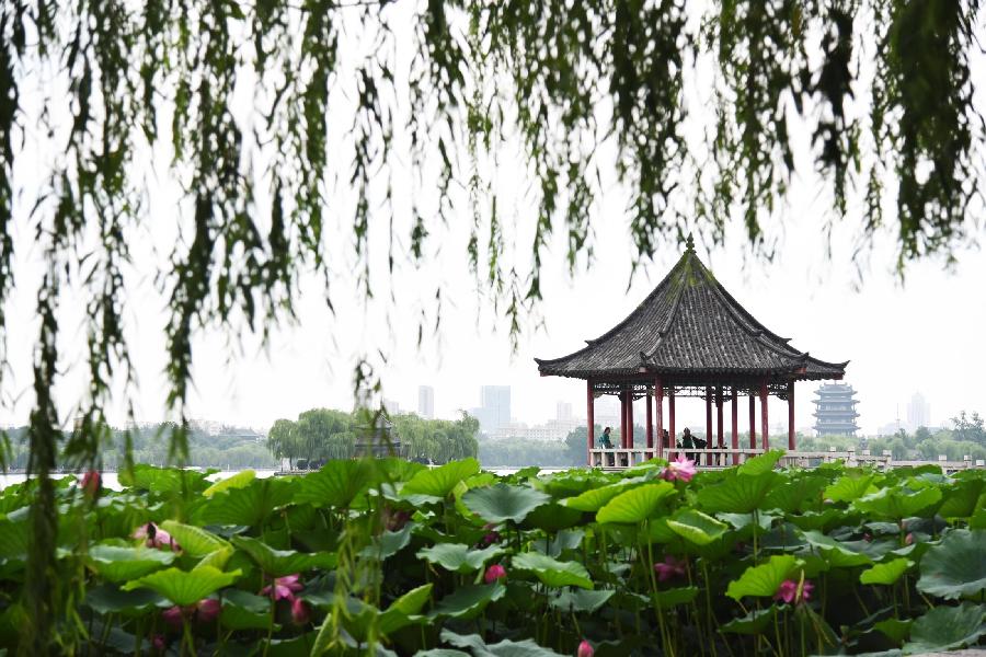 【新诗大观】雨中的大明湖||文/金粉玉蝶