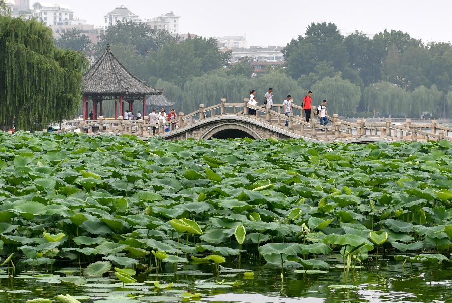 【新诗大观】雨中的大明湖||文/金粉玉蝶（图3）