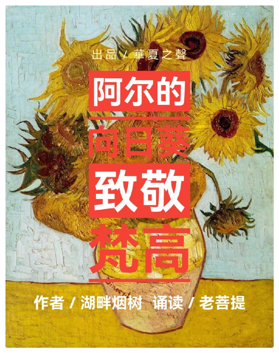 《阿尔的向日葵 致敬梵高》作者／湖畔烟树 诵读／老菩提（图2）
