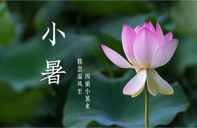 【神州源流诗苑】第991期优秀近体诗《都市头条》周刊(图3)