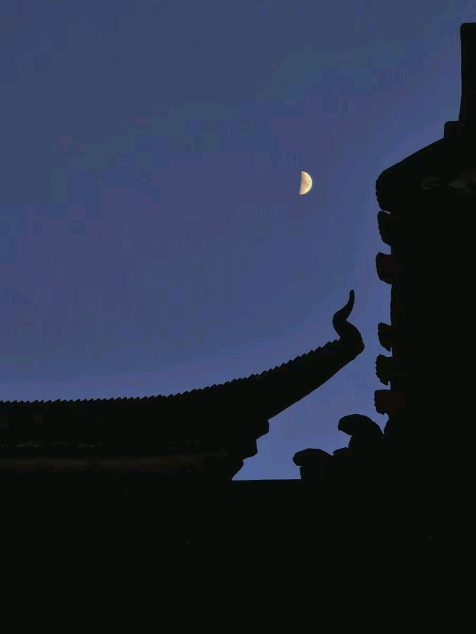 中华诗艺黑龙江分社微刊第143期(图57)