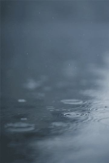 七律-初伏夜雨~诗║以诗为偶(图11)