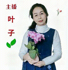 请欣赏【八一专辑】四人合诵《战火硝烟战旗红》作者魏德崙/编辑海纳百川【中国长江文学社】第6056期（图16）