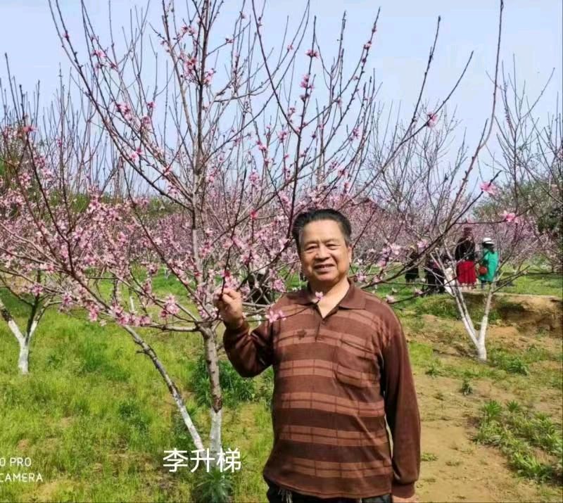 《丰收时节诗辑》（诗友合集）5390【新京都文艺】（图3）