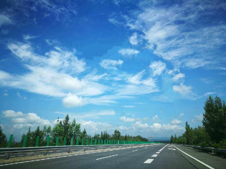 【新诗大观】自由的天空||文/姚元霞