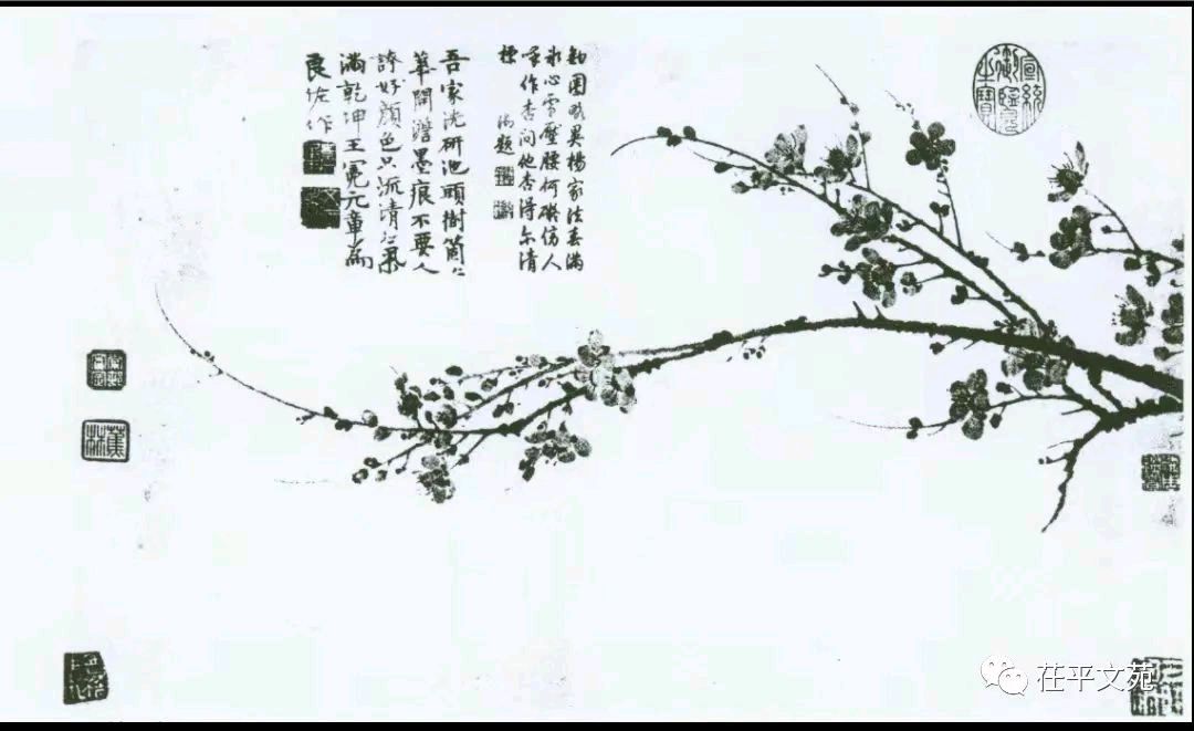 【茌山文苑】江苏姜浩泉‖一梅纵千秋 万朵映风流（随笔）（图3）