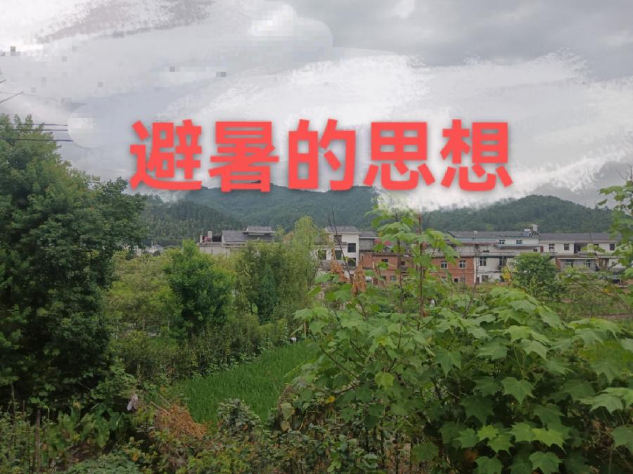 易栋萍：避暑的思想