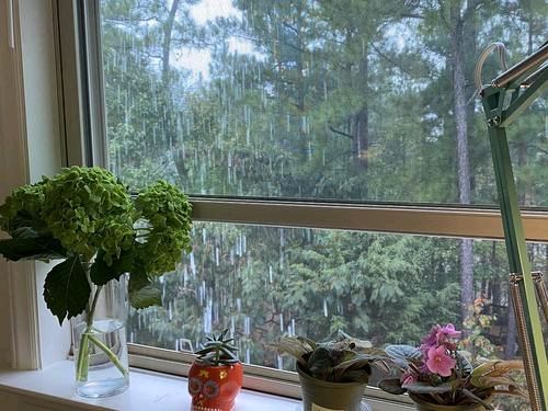 《昨夜的雨，飘过浅浅的窗口》作者:昨夜天【主播:梦里水乡】【桃源国际诗歌】以诵读致敬人生♬（图6）