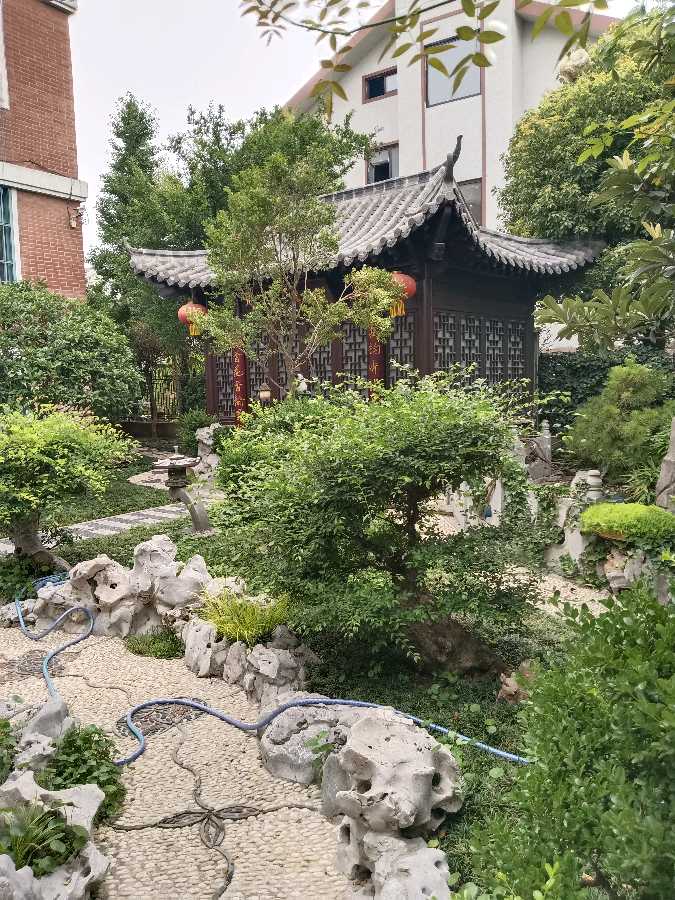 心尘文艺 💝第978期
