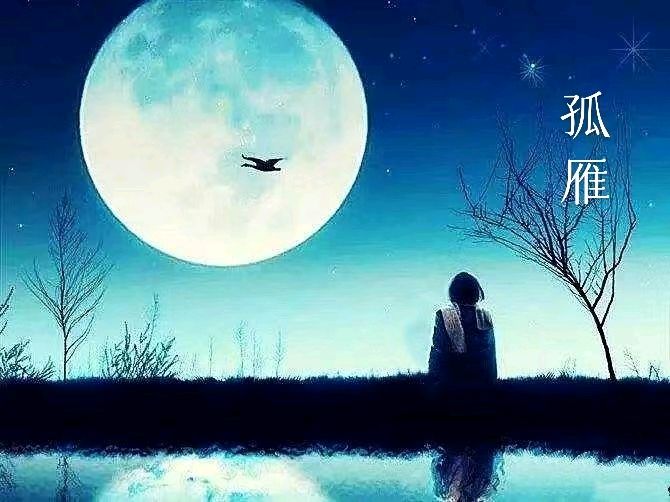 韩庚的《孤雁》