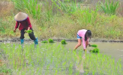 安庆海绝句选萃‖巴彦诗协诗词卷【561】（图2）